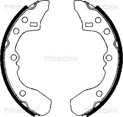 Triscan 8100 50434 - Jeu de mâchoires de frein cwaw.fr