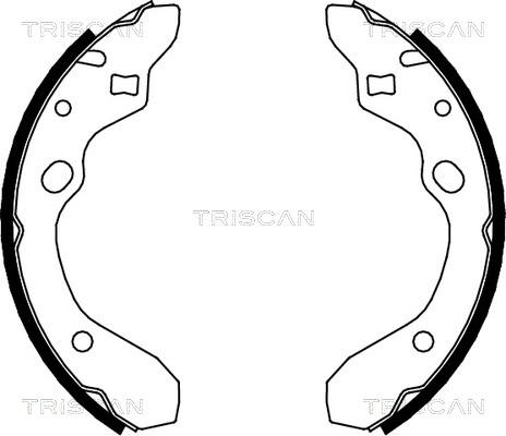 Triscan 8100 50546 - Jeu de mâchoires de frein cwaw.fr