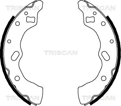 Triscan 8100 50556 - Jeu de mâchoires de frein cwaw.fr