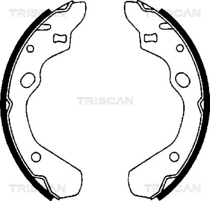 Triscan 8100 50500 - Jeu de mâchoires de frein cwaw.fr