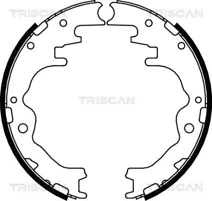 Triscan 8100 50526 - Jeu de mâchoires de frein cwaw.fr