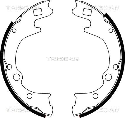 Triscan 8100 50604 - Jeu de mâchoires de frein cwaw.fr