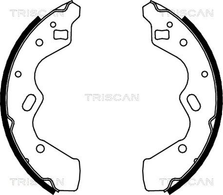 Triscan 8100 50615 - Jeu de mâchoires de frein cwaw.fr