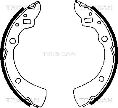 Triscan 8100 50359 - Jeu de mâchoires de frein cwaw.fr