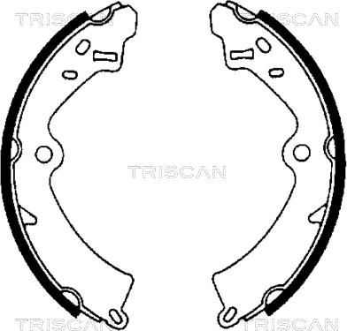 Triscan 8100 69473 - Jeu de mâchoires de frein cwaw.fr