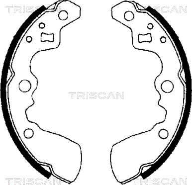 Triscan 8100 69550 - Jeu de mâchoires de frein cwaw.fr