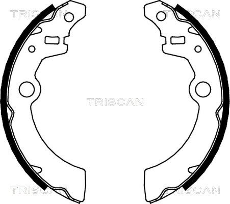 Triscan 8100 69001 - Jeu de mâchoires de frein cwaw.fr