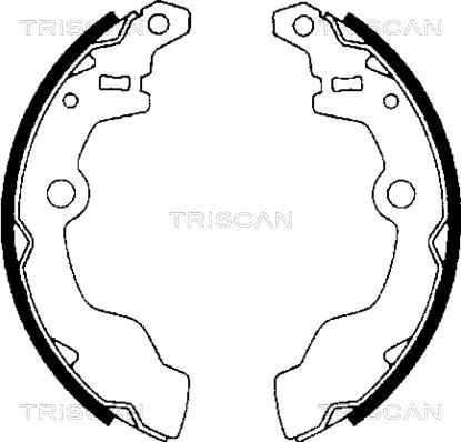 Triscan 8100 69002 - Jeu de mâchoires de frein cwaw.fr