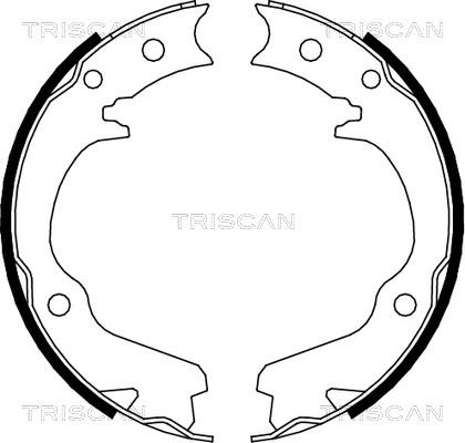 Triscan 8100 68001 - Jeu de mâchoires de frein cwaw.fr