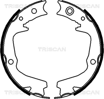 Triscan 8100 68002 - Jeu de mâchoires de frein cwaw.fr