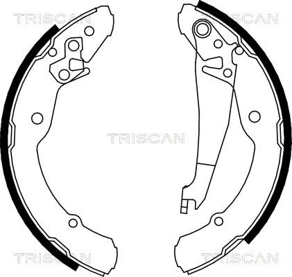 Triscan 8100 67631 - Jeu de mâchoires de frein cwaw.fr