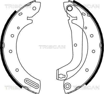 Triscan 8100 14596 - Jeu de mâchoires de frein cwaw.fr