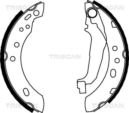 Triscan 8100 14543 - Jeu de mâchoires de frein cwaw.fr