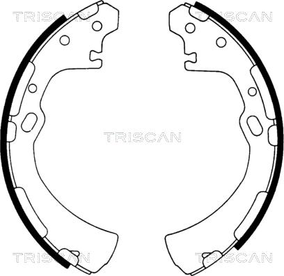 Triscan 8100 14510 - Jeu de mâchoires de frein cwaw.fr