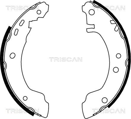 Triscan 8100 14531 - Jeu de mâchoires de frein cwaw.fr