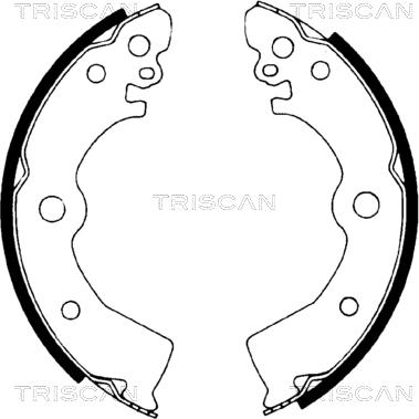 Triscan 8100 14532 - Jeu de mâchoires de frein cwaw.fr