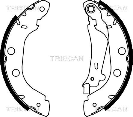 Triscan 8100 14614 - Jeu de mâchoires de frein cwaw.fr