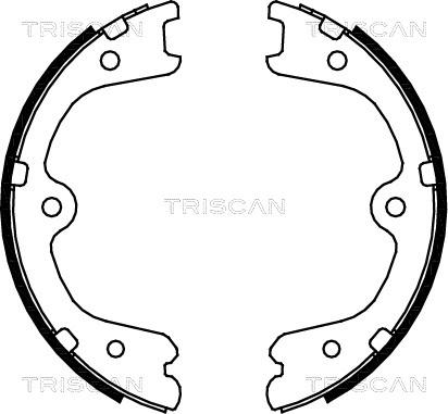 Triscan 8100 14009 - Jeu de mâchoires de frein, frein de stationnement cwaw.fr