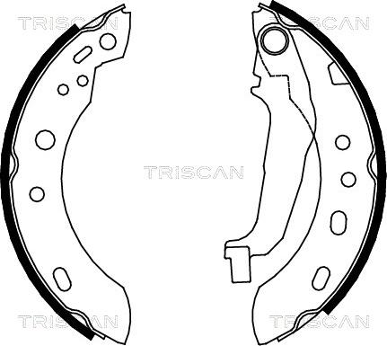 Triscan 8100 14001 - Jeu de mâchoires de frein cwaw.fr