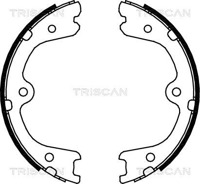 Triscan 8100 14008 - Jeu de mâchoires de frein, frein de stationnement cwaw.fr