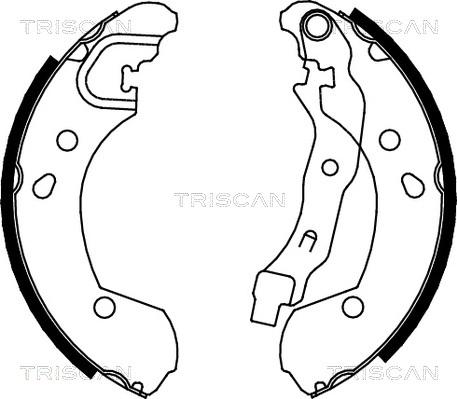 Triscan 8100 14002 - Jeu de mâchoires de frein cwaw.fr