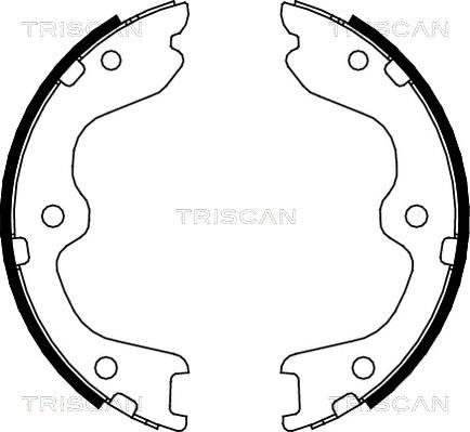 Triscan 8100 14010 - Jeu de mâchoires de frein cwaw.fr