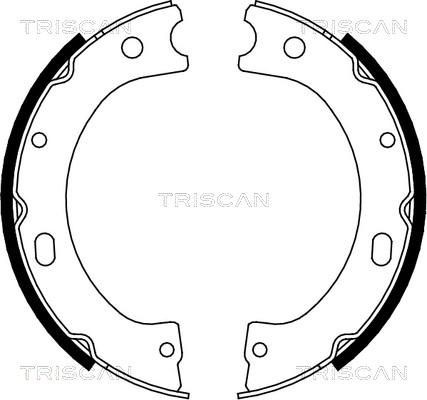 Triscan 8100 14011 - Jeu de mâchoires de frein cwaw.fr