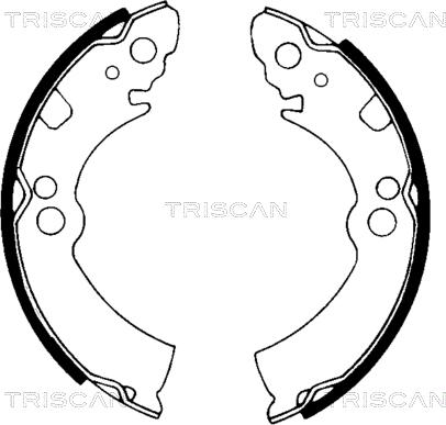 Triscan 8100 14396 - Jeu de mâchoires de frein cwaw.fr