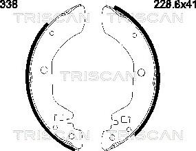 Triscan 8100 14338 - Jeu de mâchoires de frein cwaw.fr