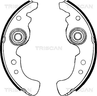 Triscan 8100 15486 - Jeu de mâchoires de frein cwaw.fr