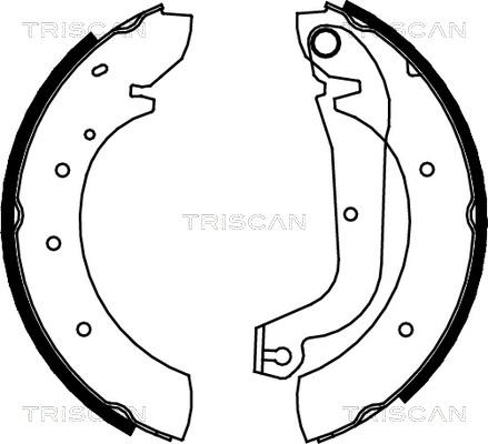 Triscan 8100 15480 - Jeu de mâchoires de frein cwaw.fr