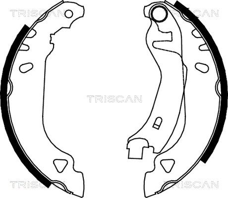 Triscan 8100 15482 - Jeu de mâchoires de frein cwaw.fr