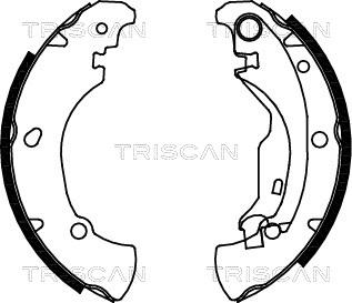 Triscan 8100 15625 - Jeu de mâchoires de frein cwaw.fr