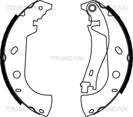 Triscan 8100 15626 - Jeu de mâchoires de frein cwaw.fr