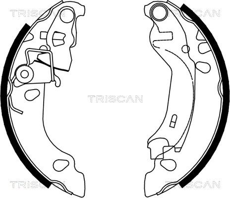 Triscan 8100 15016 - Jeu de mâchoires de frein cwaw.fr