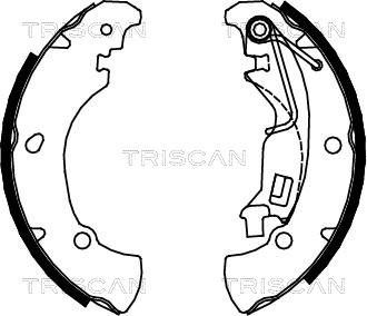 Triscan 8100 15017 - Jeu de mâchoires de frein cwaw.fr