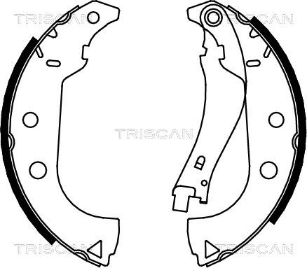 Triscan 8100 15020 - Jeu de mâchoires de frein cwaw.fr