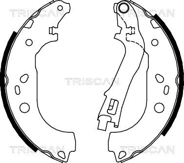 Triscan 8100 15021 - Jeu de mâchoires de frein cwaw.fr