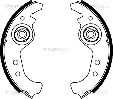 Triscan 8100 15383 - Jeu de mâchoires de frein cwaw.fr