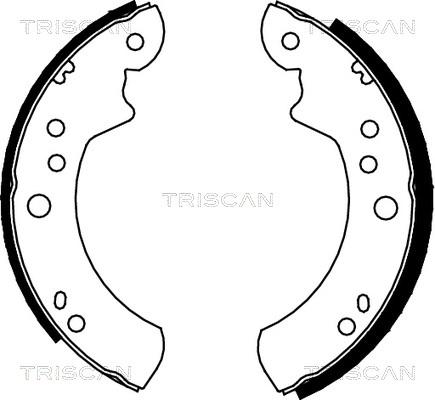 Triscan 8100 16446 - Jeu de mâchoires de frein cwaw.fr