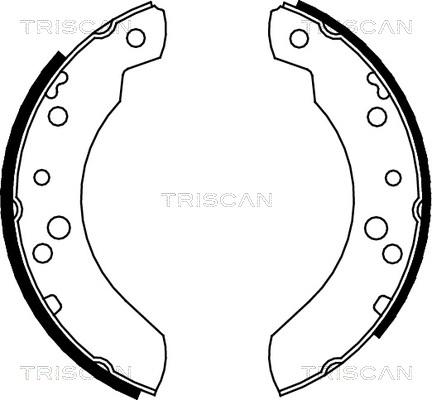 Triscan 8100 16440 - Jeu de mâchoires de frein cwaw.fr