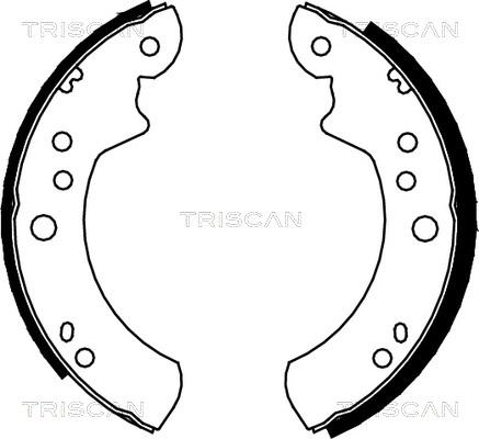 Triscan 8100 16443 - Jeu de mâchoires de frein cwaw.fr