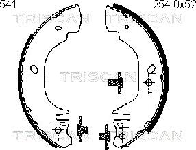 Triscan 8100 16541 - Jeu de mâchoires de frein cwaw.fr