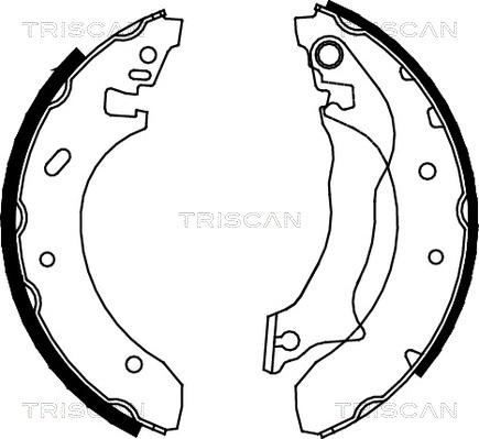 Triscan 8100 16559 - Jeu de mâchoires de frein cwaw.fr