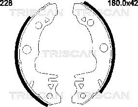 Triscan 8100 16518 - Jeu de mâchoires de frein cwaw.fr