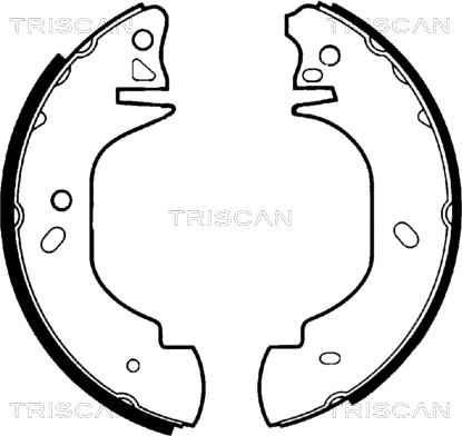 Triscan 8100 16570 - Jeu de mâchoires de frein cwaw.fr