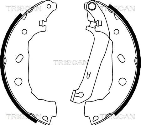 Triscan 8100 16009 - Jeu de mâchoires de frein cwaw.fr