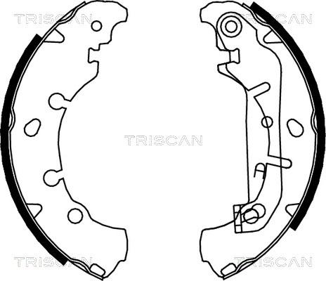 Triscan 8100 16006 - Jeu de mâchoires de frein cwaw.fr