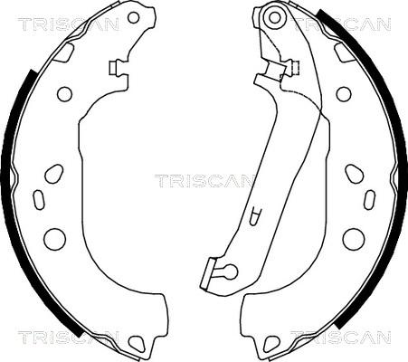 Triscan 8100 16011 - Jeu de mâchoires de frein cwaw.fr