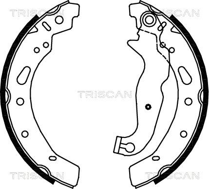 Triscan 8100 16012 - Jeu de mâchoires de frein cwaw.fr